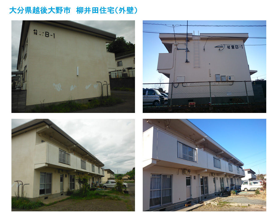 施工事例（外壁）　大分県越後大野市　柳井田住宅（外壁）